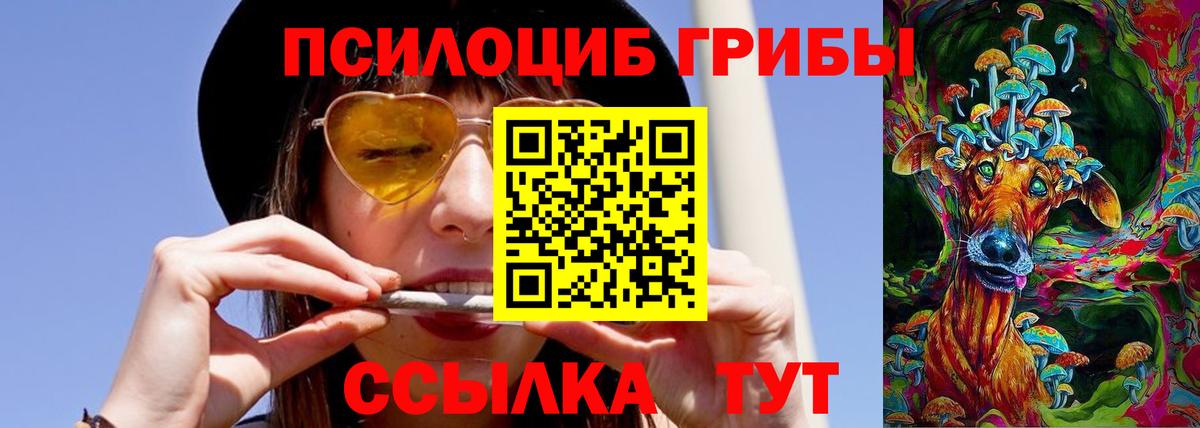 Галлюциногенные грибы Psilocybine cubensis  Вход с VPN  Казань 